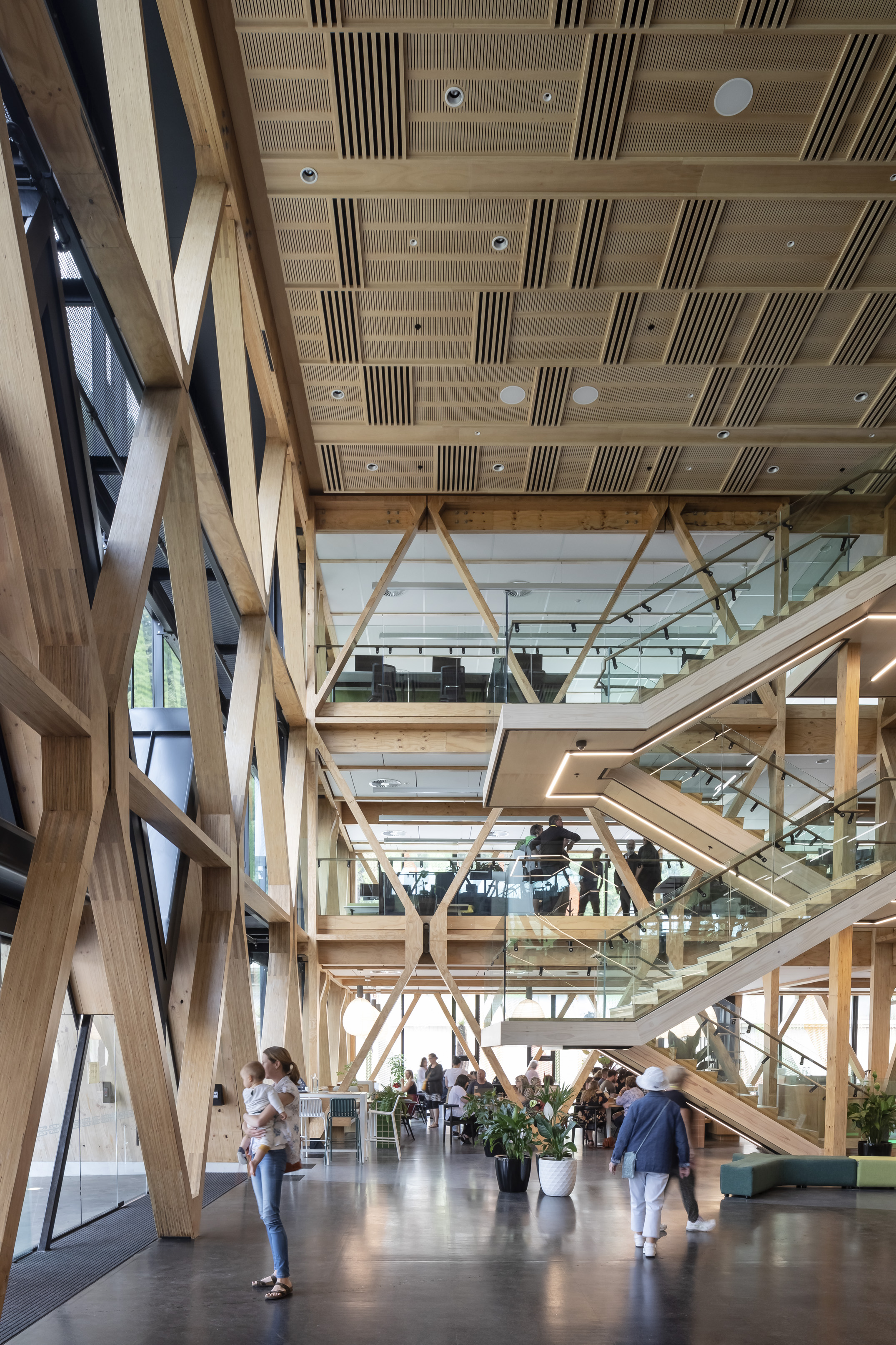 Te Whare Nui o Tuteata; SCION Timber Innovation Hub