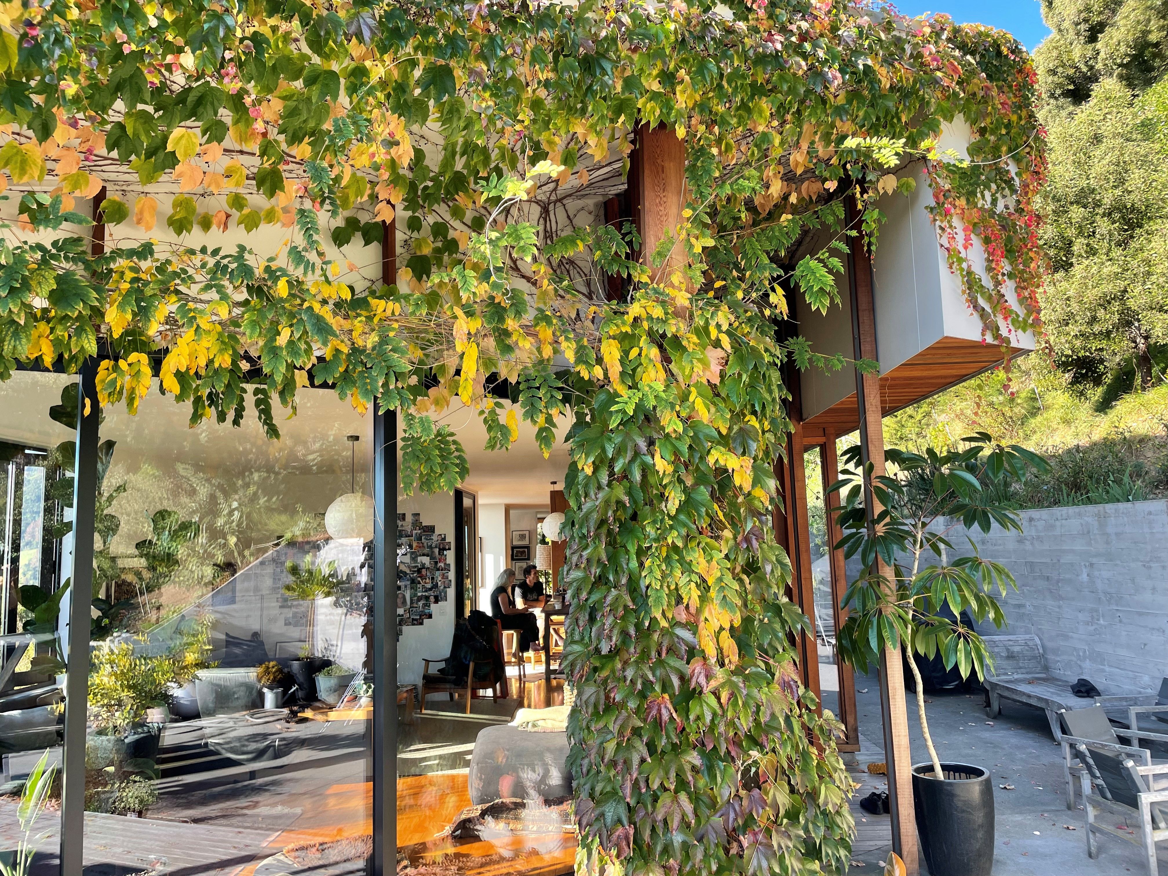 Feather House