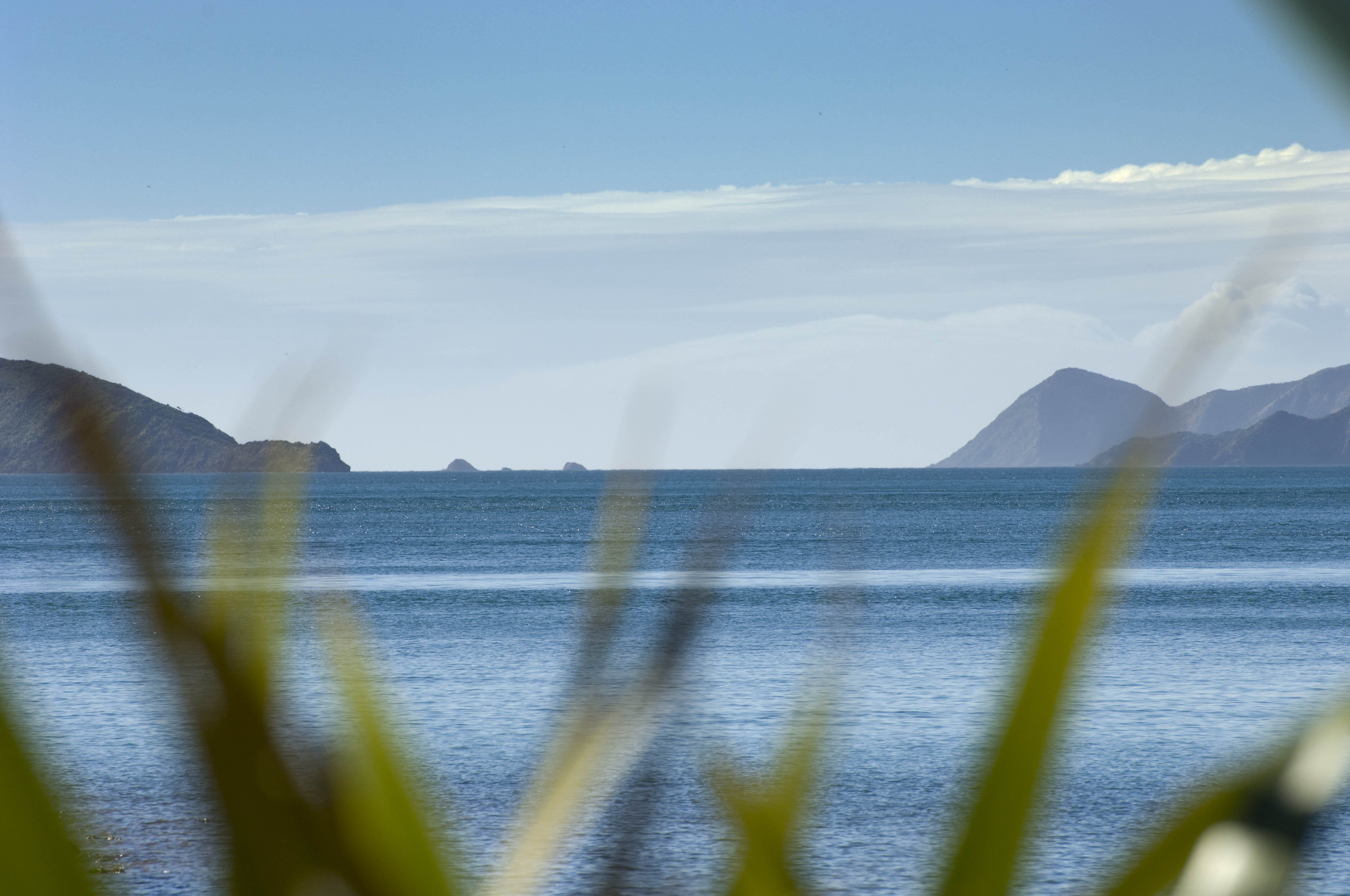 Cherry Bay Bach